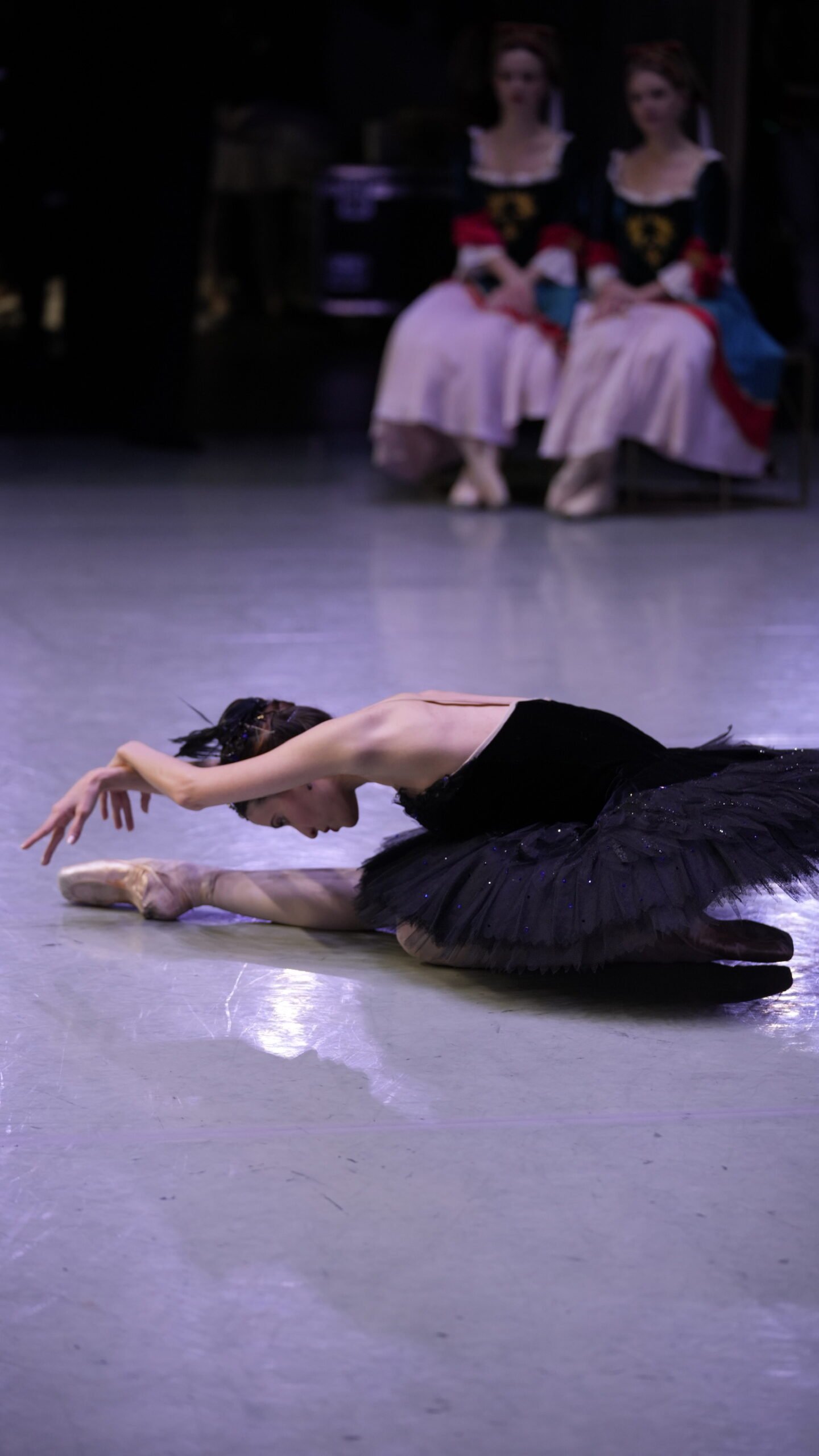 Swan Lake – Odile, Photo by Andrei Moiseii
